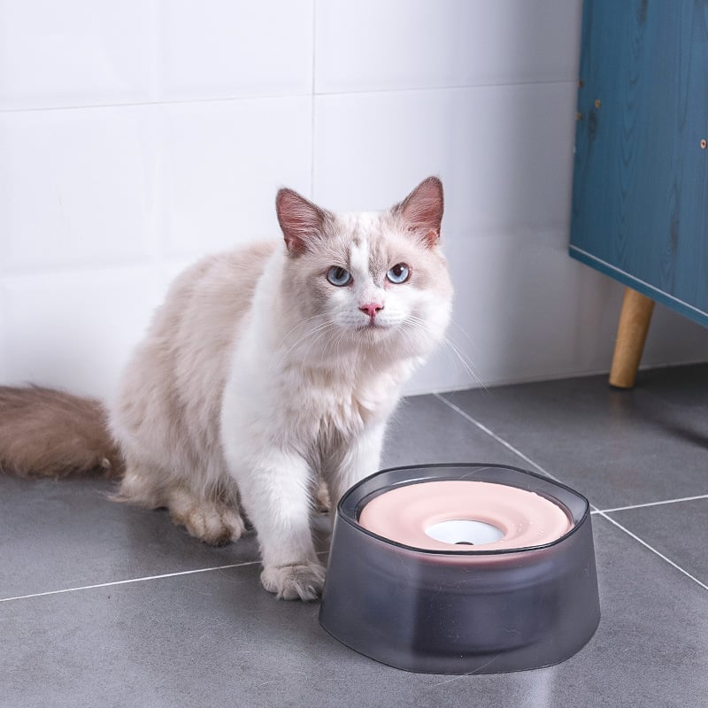 Cuenco Bebedero a Prueba de Salpicaduras para Perros y Gatos