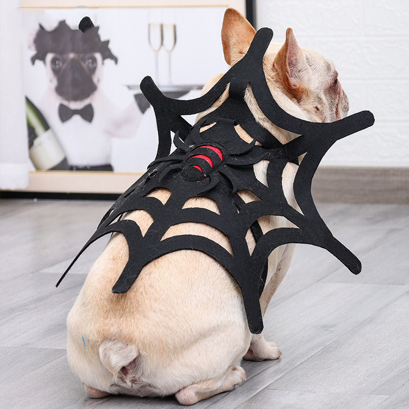 Set de Decoración de Telaraña de Halloween para Gatos y Perros