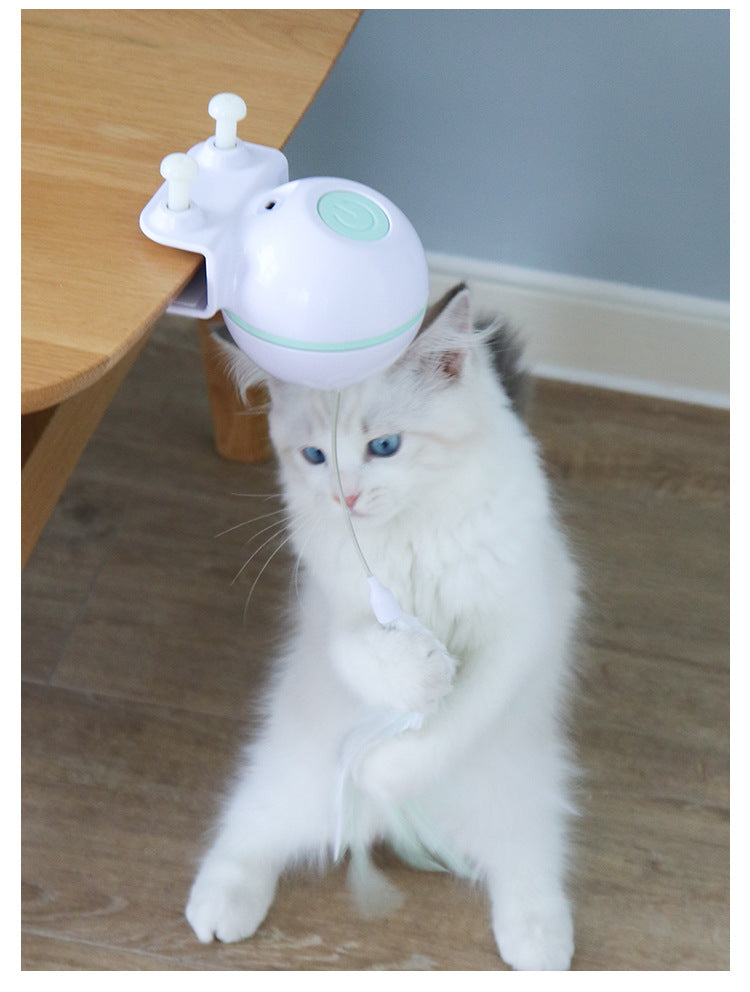 Pelota de Juguete para Mascotas con Varita de Engaño Eléctrica USB (Intercambiable)